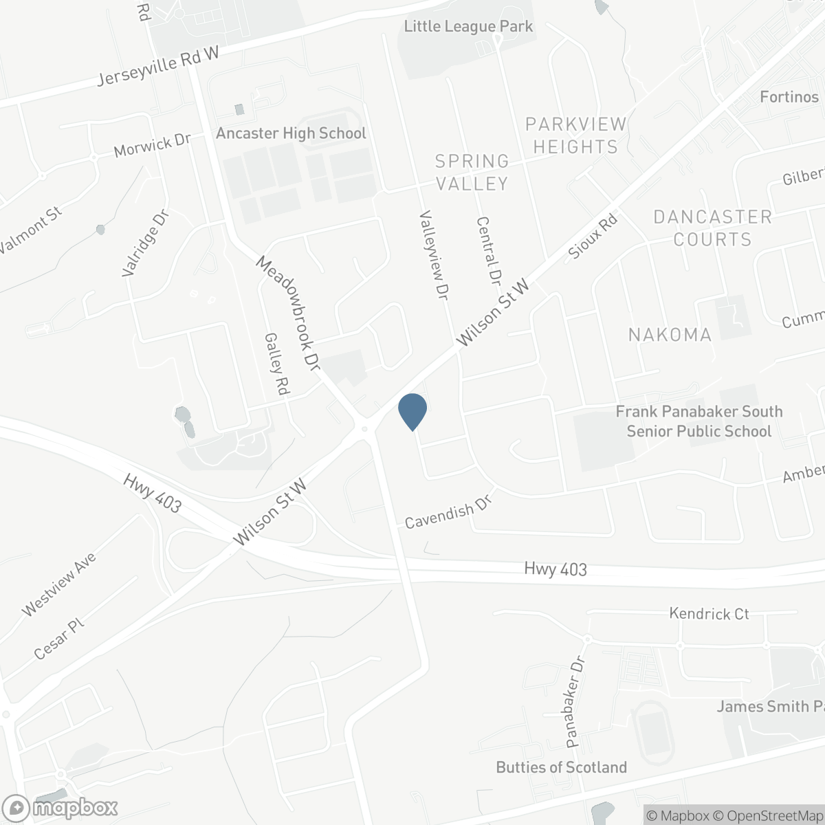 359 SUNNYMEADE DRIVE, Ancaster, Ontario L9G 4L2